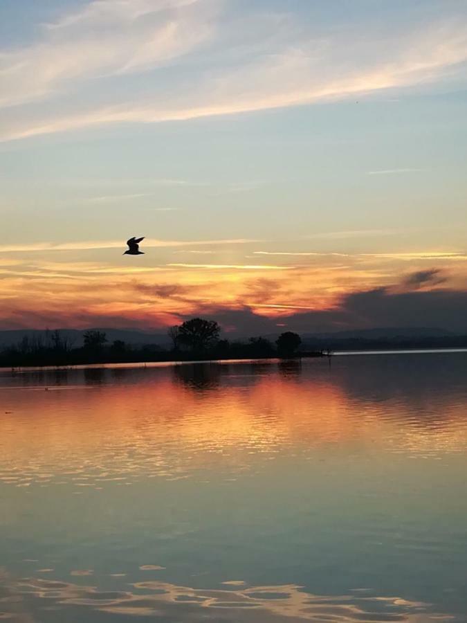 Casa Vacanze Trasimeno SantʼArcangelo Eksteriør billede